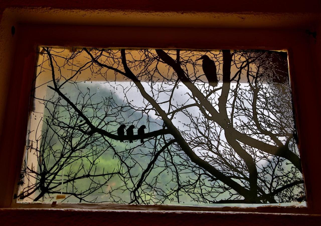 Beau Vallon - Gite Et Chambres D'Hotes Pyrenees-Mediterranee - Pays Catalan Sahorre エクステリア 写真
